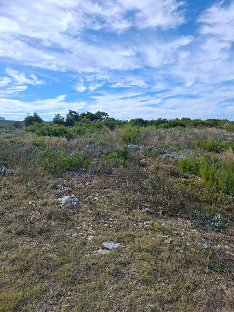 Commercial Property for Sale in N2 Industrial Park Western Cape